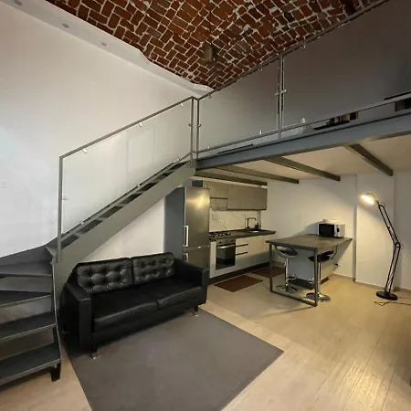 Green Loft -Torino Centro- By Happyhostorino *
